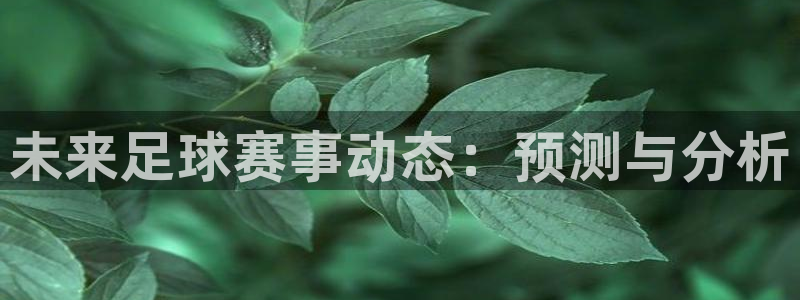 vsport体育平台app下载安装免费：未来足球赛事动态：预