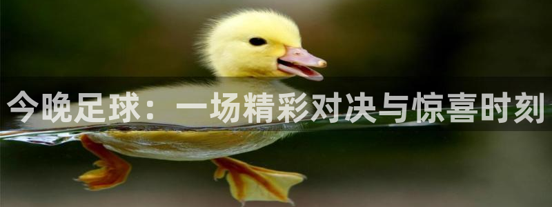 哈哈体育体育平台-胜利因您更精彩：今晚足球：一场精彩对决与惊