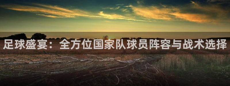 哈哈体育体育平台-胜利因您更精彩：足球盛宴：全方位国家队球员