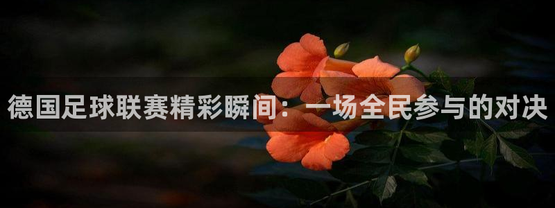  vSport体育在线登录平台：德国足球联赛精彩瞬间：一场全民
