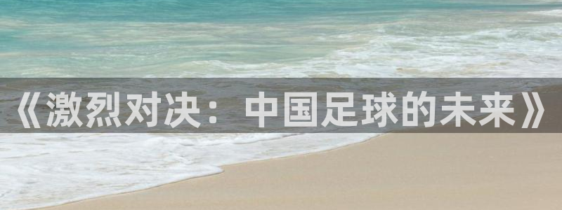  vsport体育在线官网阿根廷：《激烈对决：中国足球的未来》
