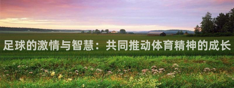 vsport体育：足球的激情与智慧：共同推动体育精神的成长