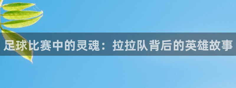  vsport体育平台：足球比赛中的灵魂：拉拉队背后的英雄故事